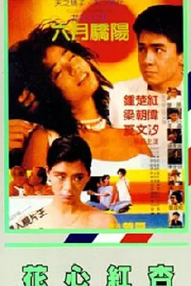 两性午休热门小说阅读
