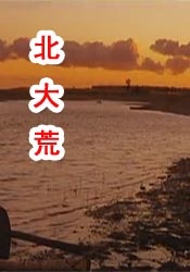 www.黄