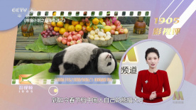 在线观看国产一区二区三区99