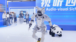 在线精品国产成人综合第一页